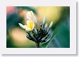 Xandari - 46 * Xandari landscaping * Xandari landscaping